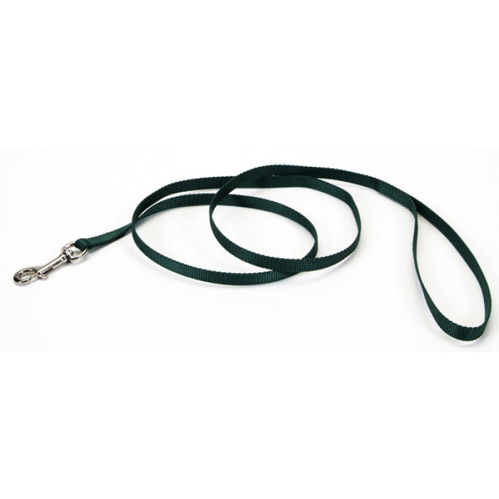 Coastal Nylon повідець для собак, 1 см × 1,2 м, хаккі.
